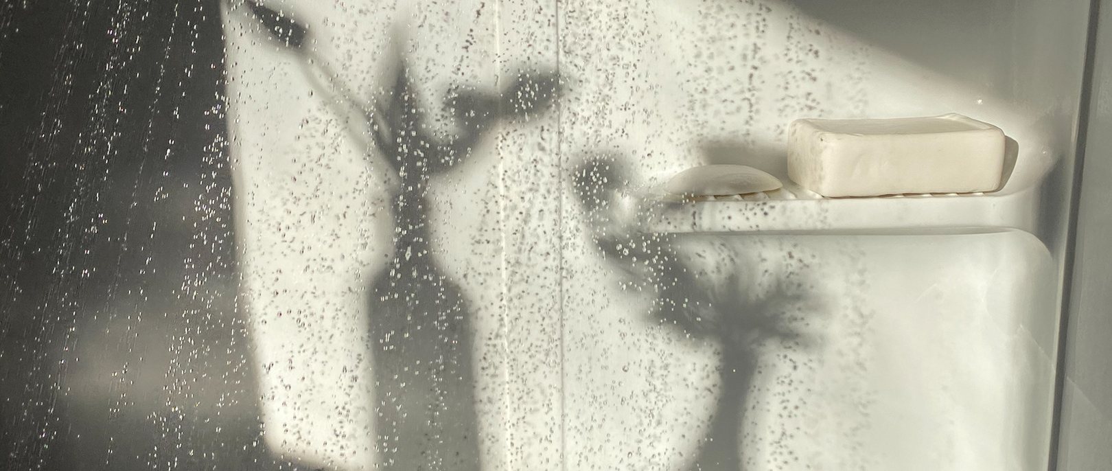 Plant shadows and soap behind misted shower glass